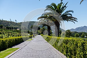 Wineries in Franchhoek area, Cape Town