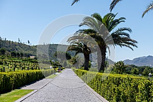 Wineries in Franchhoek area, Cape Town