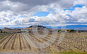 Wineries of La Rioja in Spain