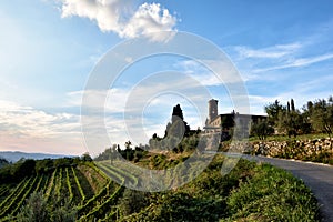 Wineries in Tuscany, the taste of the earth CXXXIII