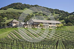 Winery atop a hill