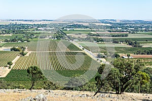 Winery in Barossa Valley in South Australia