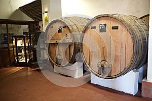 Winery in Cafayate, province of Salta, Argentina