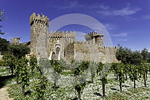 Winery Castle