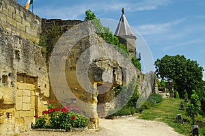 Winery and cellar