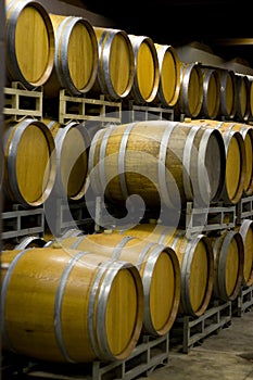 Winery Cellar Barrels