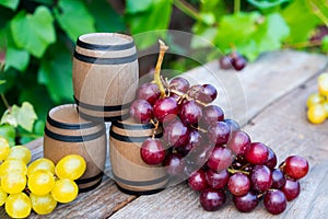 Winery concept. Miniature souvenir wine barrels, white and red grape berries on the wooden rustic background of
