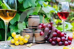 Winery concept. Miniature wine barrels, glasses with white and red wine and grape berries on the wooden table on