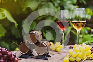 Winery concept. Miniature wine barrels on the wooden background of vineyards, grape, and wine glasses with red and white