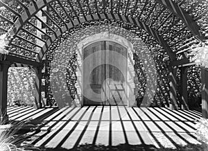 Winery doors, black and white