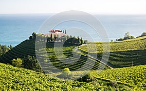 Winery in Eitzaga, Basque Country, spain.