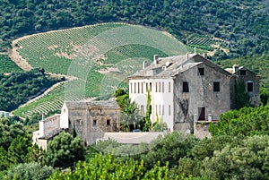 Winery farm at Patrimonio on Corsica island photo