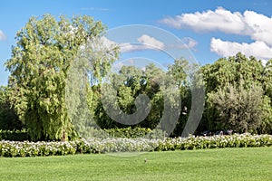 Winery Garden Mendoza Argentina