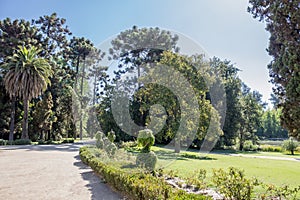 Winery Garden Santiago do Chile