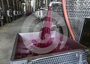 Winery producing wine, Grape ju in tank. Wine fermentation tanks. Wine fermentation process Red grapes in fermentation tank.