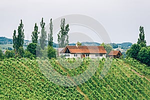 Winery in Southern Styria