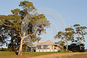 Winery Tasmania