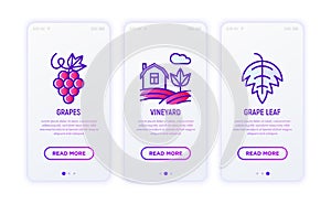 Winery thin line icons set: grapes, vineyard, grape leaf. Modern vector illustration for wine shop, delivery