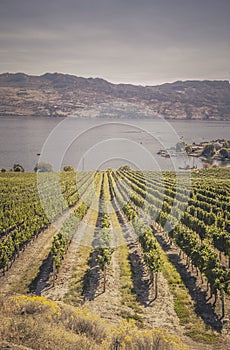 Winery View on Mountain Lake