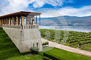 Winery Vineyard in Kelowna, British Columbia