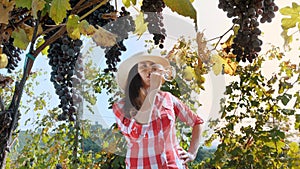 Winery and Wine Business. wine degustation. vineyard. Female sommelier tasting wine, sun breaks through the branches of