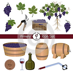 Winery, winemaking: equipment, tools, wine, vine, leaves, berries, root