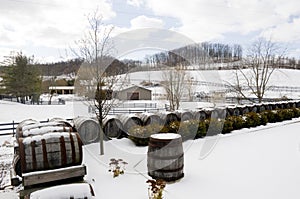 Winery During Winter