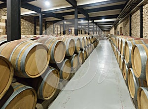 Winery with wooden barrels in rows