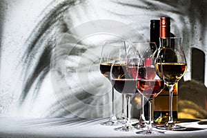 Wines assortment. Red, white, rose wine in wineglasses on gray background. Wine tasting concept. Hard sunlight and shadows from