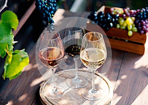 Wines in glasses with bunch of grape