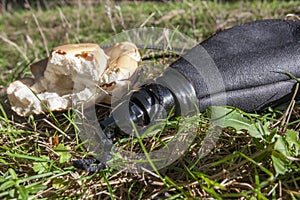 Wineskin or bota bag and bread over green grass photo