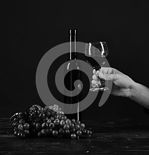 Winetasting and degustation still life concept. Bordeaux or cabernet wine composition. Bottle and glass of wine on dark