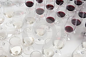 Winetasting glasses photo