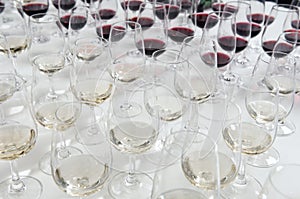 Winetasting glasses photo