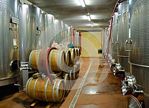 wineyard cellar