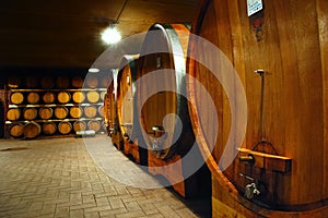 Wineyard cellar