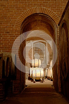 Wineyard cellar photo