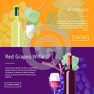 Wineyard and Red Grapes Wine Internet Banners