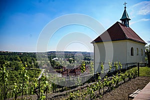 Wineyards and chapel in Troja Botanical Garden in Prague