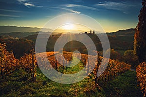 Wineyards fields, sunset view from Spicnik near Maribor