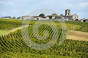 Wineyards of Saint Emilion, Bordeaux Vineyards