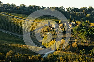 Wineyards in Tuscany in autumn, Chianti, Italy