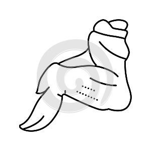 wing 3 joint chicken line icon vector illustration