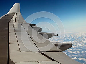 Wing