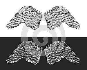 Wing Angel Hand Draw Sketch. Vector