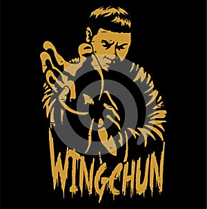 wing chun fighter art vector photo