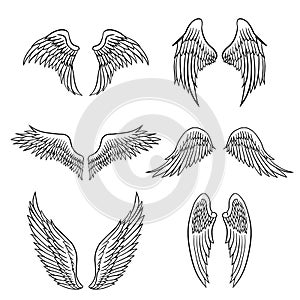 The wing drawing for tattoo or decoration concept