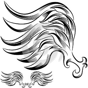 Wing Flourish Drawing