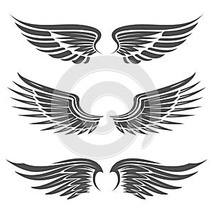 Wing for heraldry design set