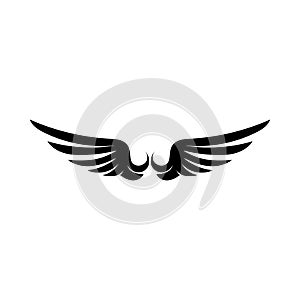 Wing logo falcon and bird 